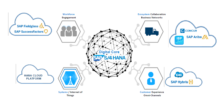 SAP ERP Software